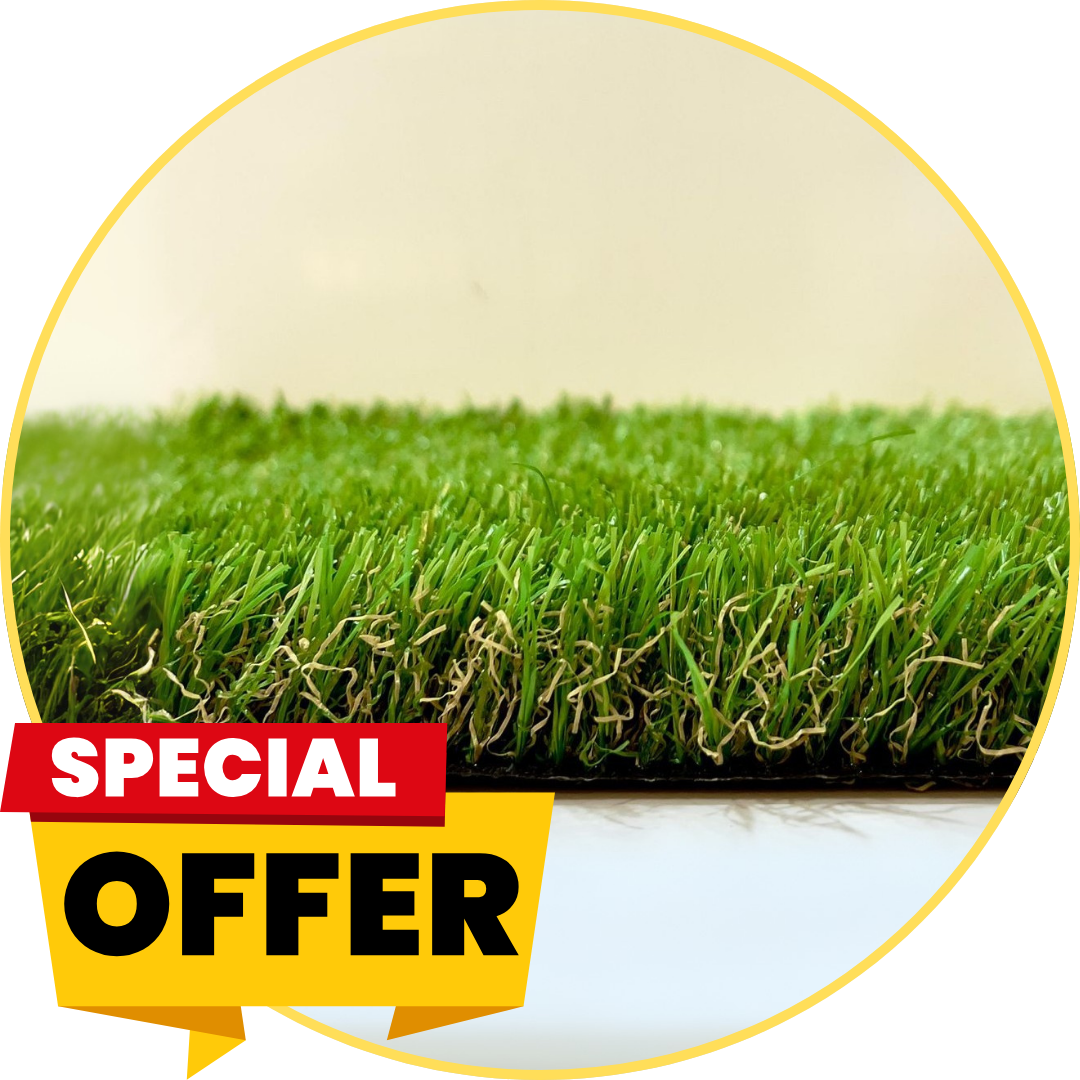35 MM CAM special offer