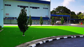 Y&Y Grass installation 4