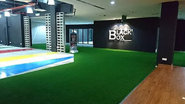 Y&Y Grass installation 7